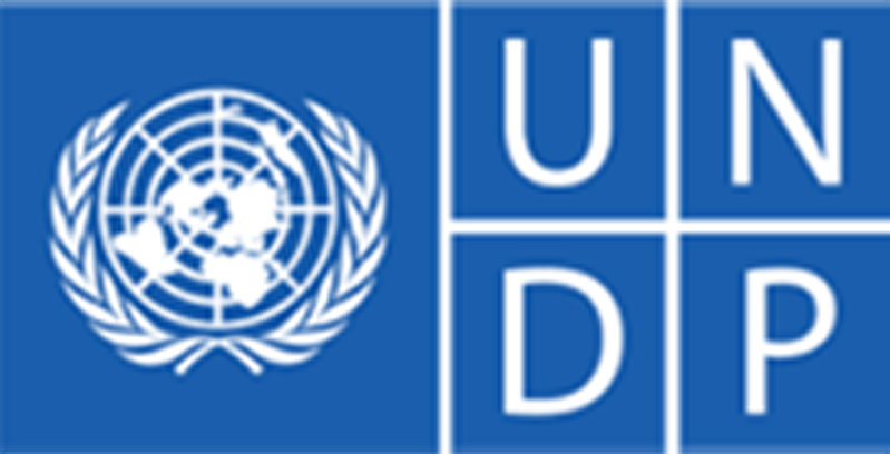 UNDP UNDP logo — United Nations Development Programme — youth livelihoods partner
